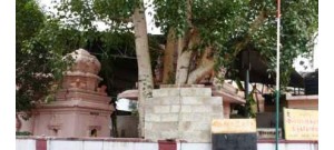 கணபதி விஸ்வநாதசாமி